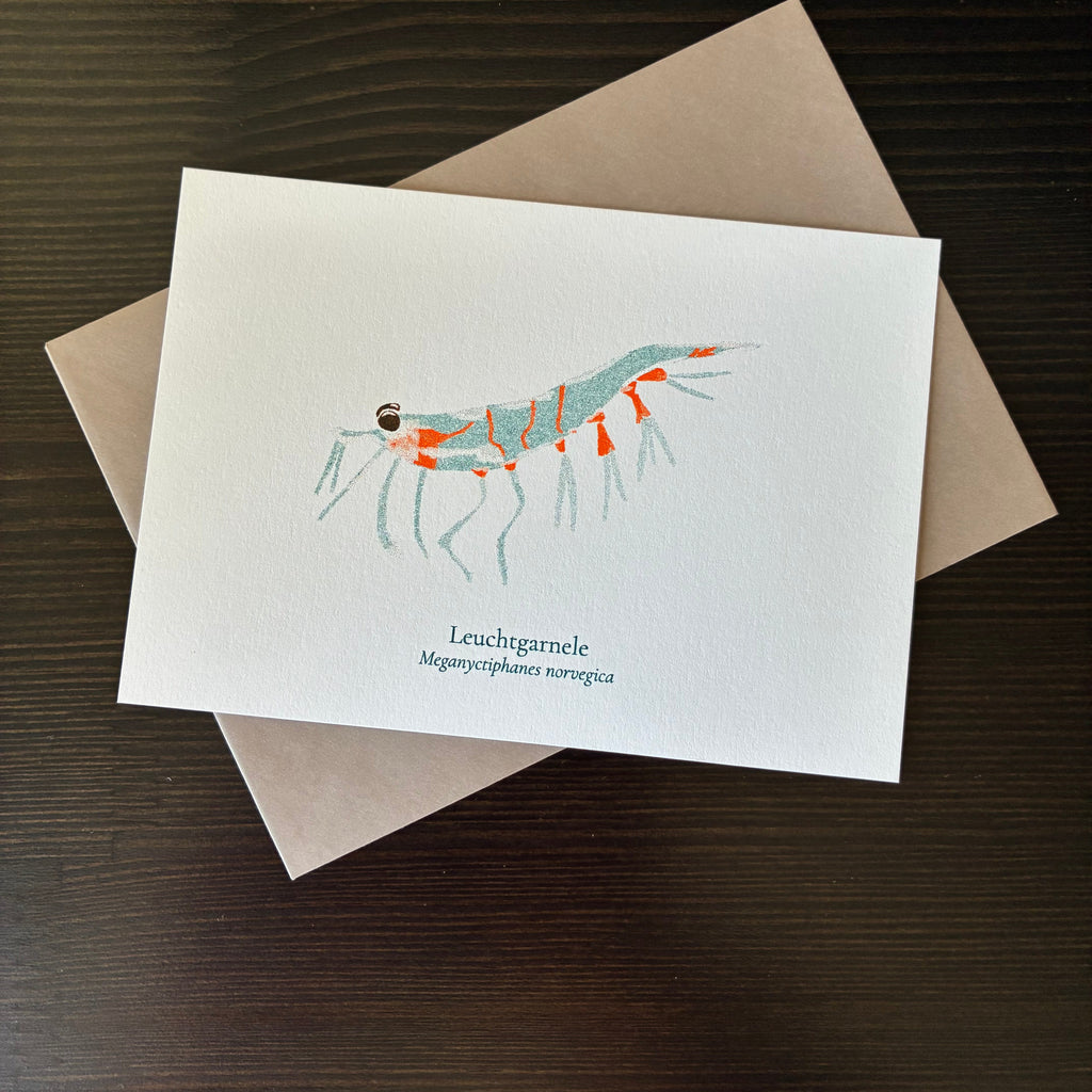 Leuchtgarnele — Risographie Postkarte