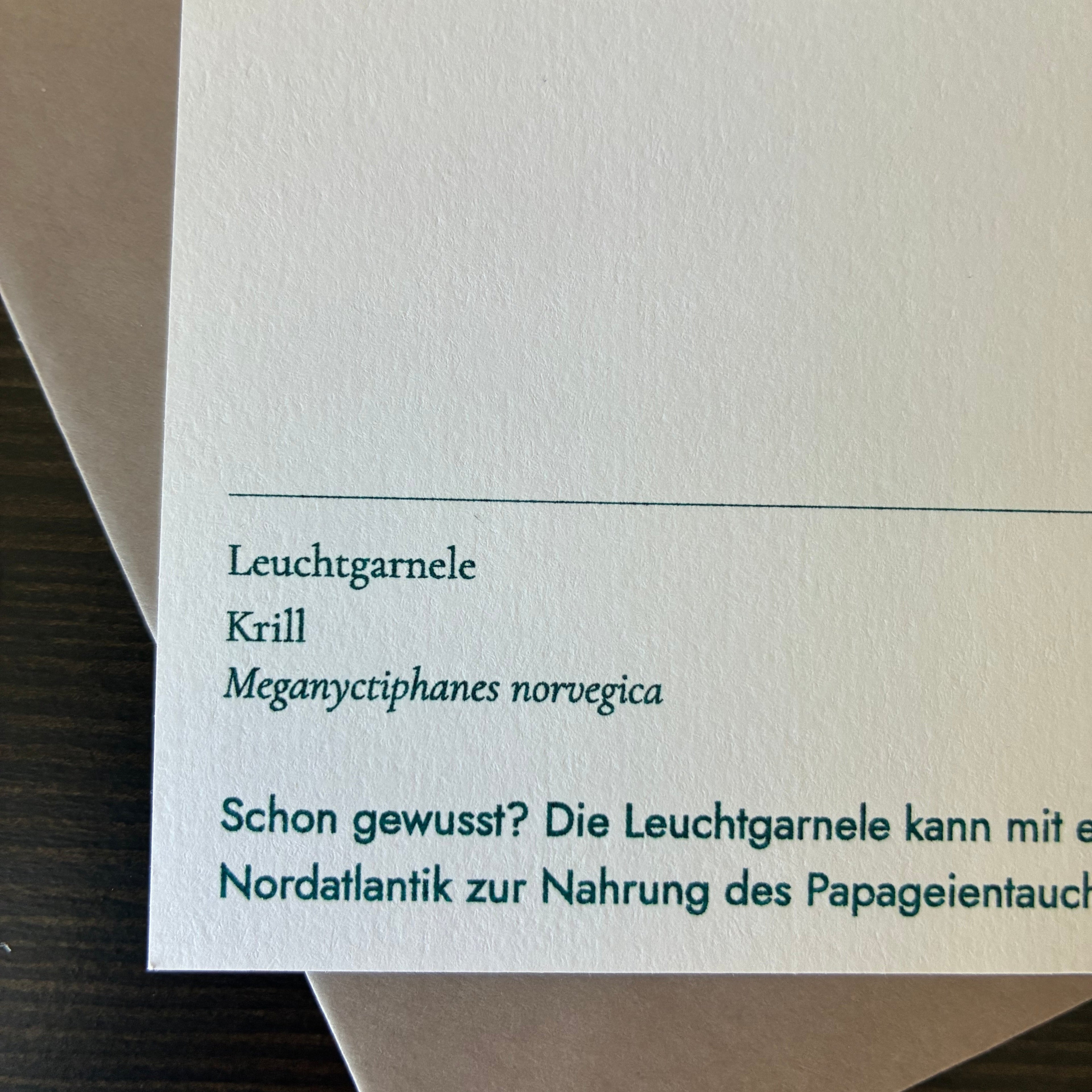 Marines Quartett — 4 Risographie Postkarten