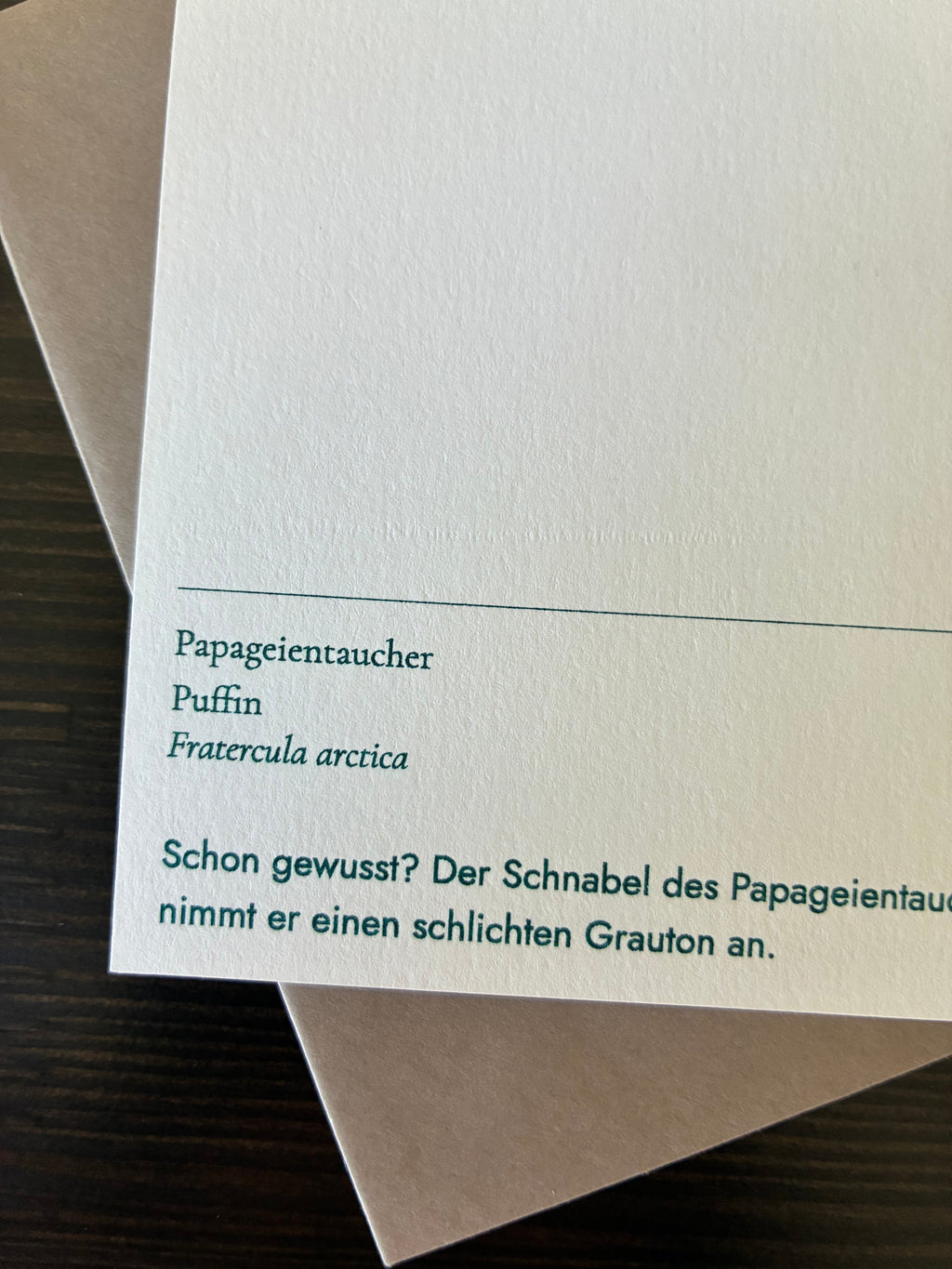 Papageientaucher — Risographie Postkarte