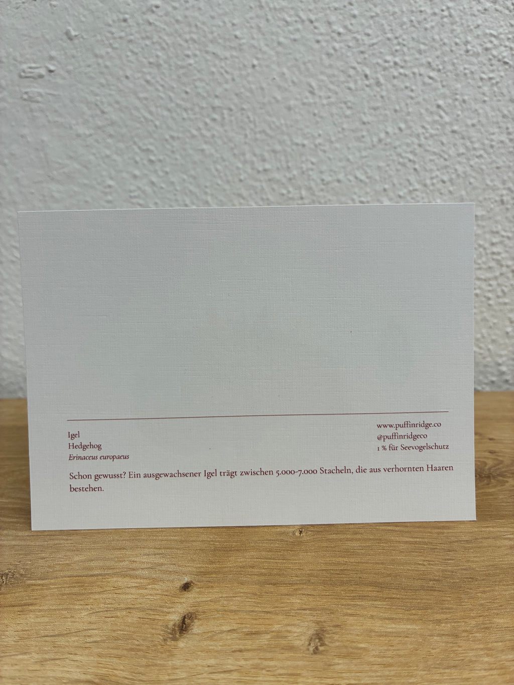 Hedgehog — Postcard on linen paper