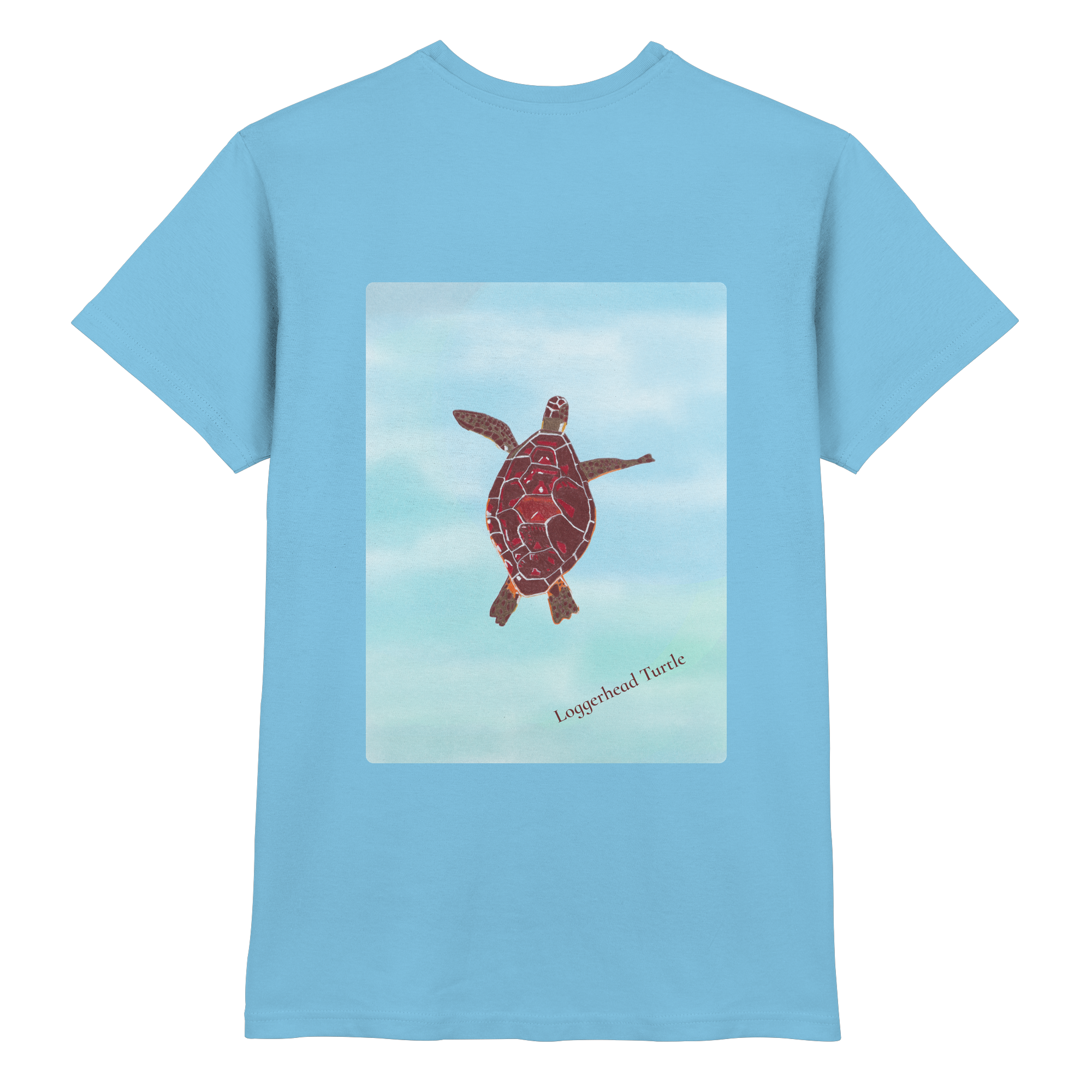 unisex-shirt-himmelblau-schildkröte-caretta