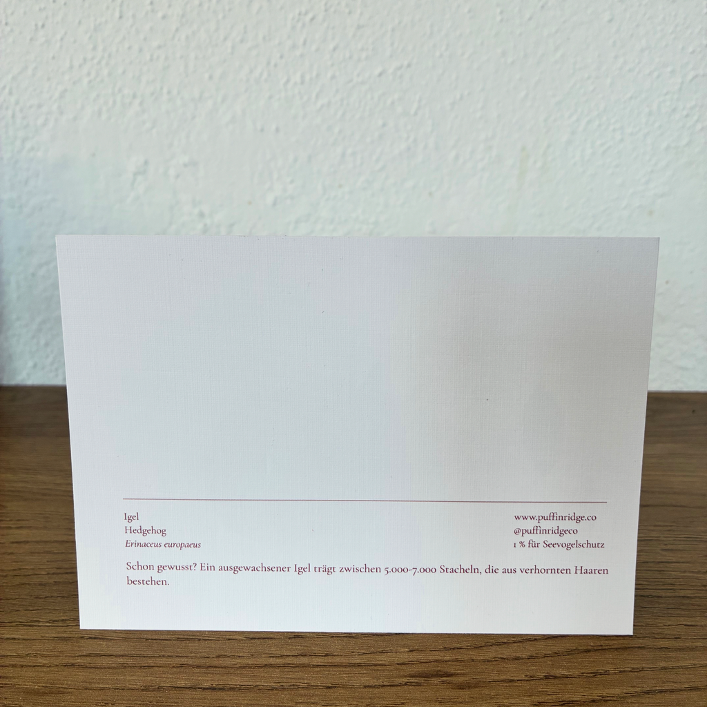 Hedgehog — Postcard on linen paper