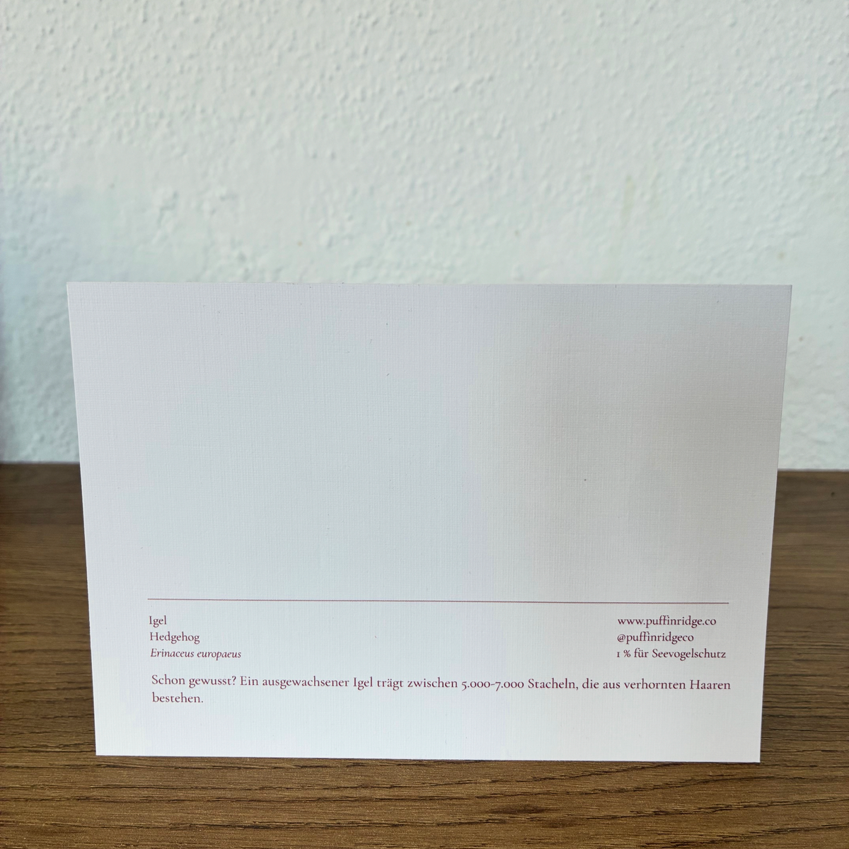 Hedgehog — Postcard on linen paper