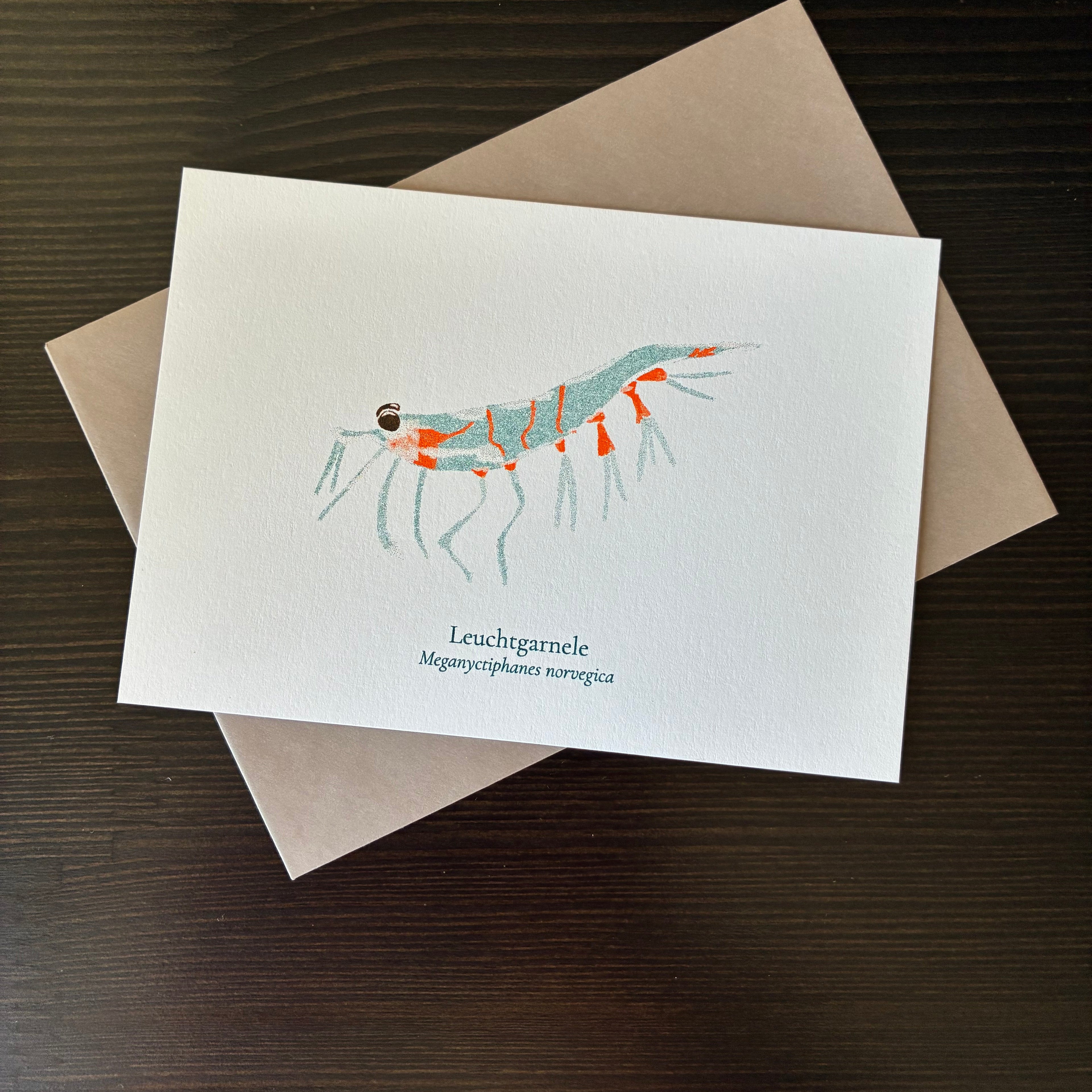 riso-karte-krill