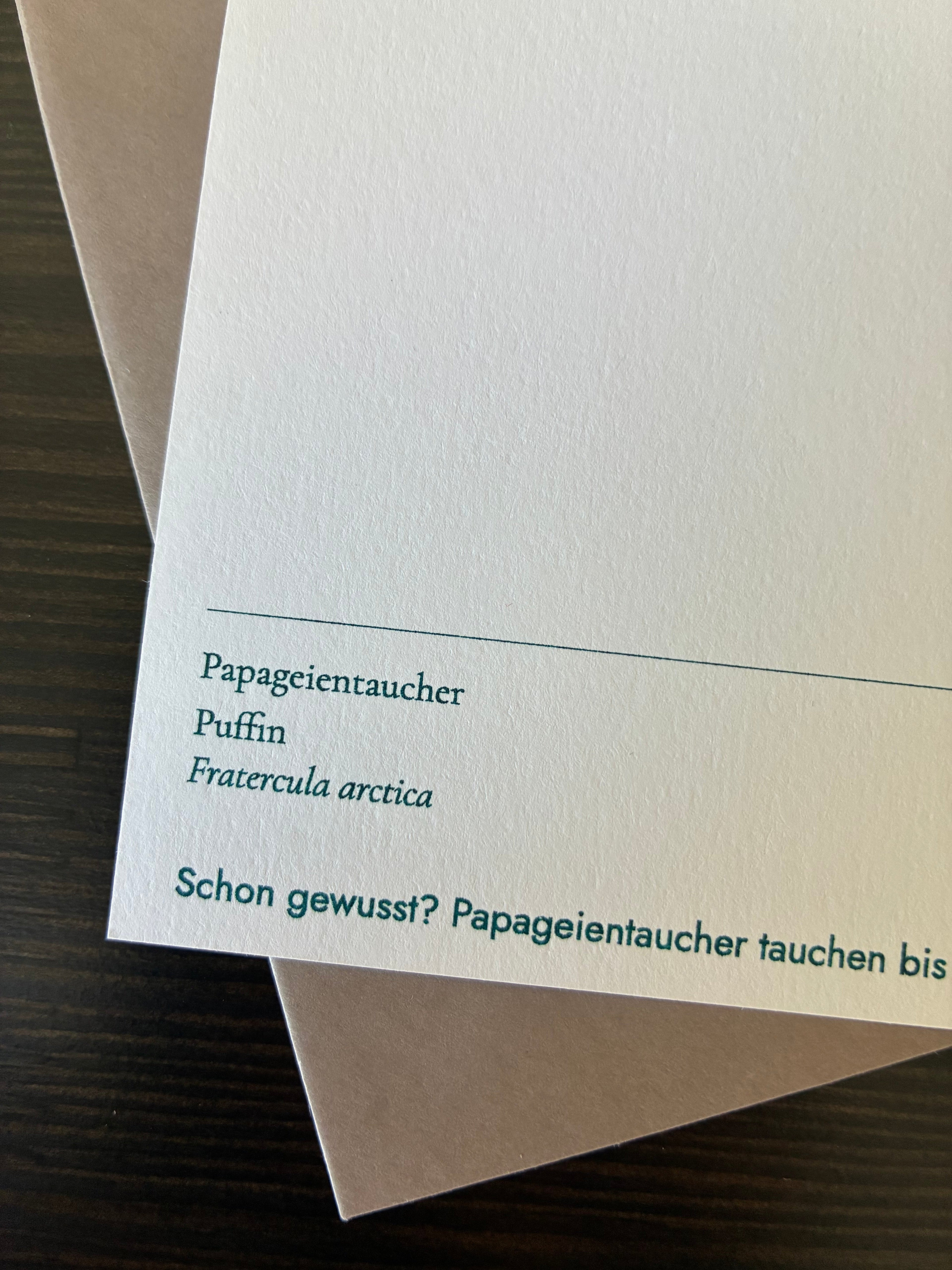 riso-karte-papageientaucher